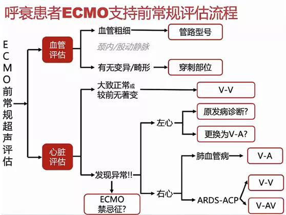ECMO（专题三）(图2)
