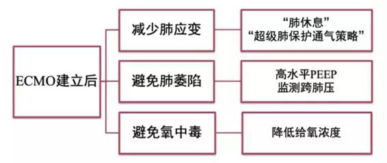 ECMO（专题二）(图1)