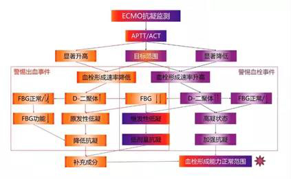 ECMO（专题一）(图1)