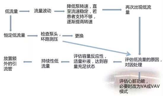 ECMO（专题一）(图3)